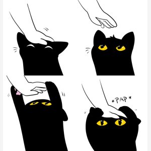 Cat Pap Empty Template   Pat, Black Catchat   Tumblr Askfordoodles   Caresses Calin meme template