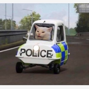 Cat Police meme template