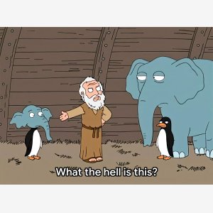 Family Guy   What The Hell Is This   2 Animals meme template