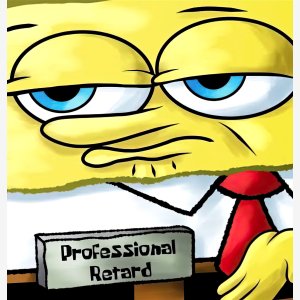 Professional Retard meme template