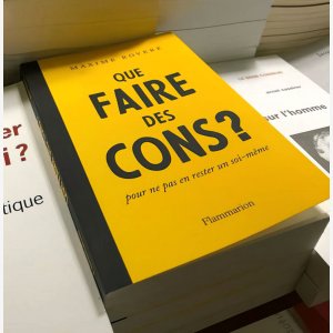 Que Faire Des Cons meme template