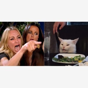Woman Yelling At A Cat Empty Template meme template