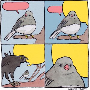 Oiseau Birds Speak Loud meme template