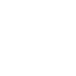 Icon 1790165401.9955