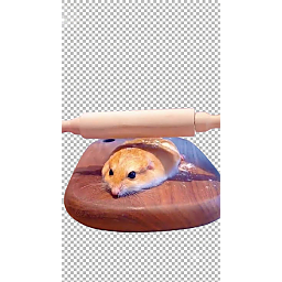 Icon 1790165454.3789