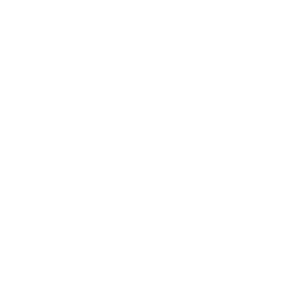 Icon 1790165522.6506
