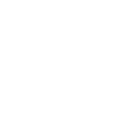 Icon 1790165549.7028